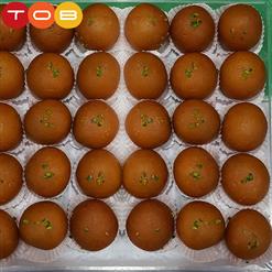 Sp. Gulab Jamun